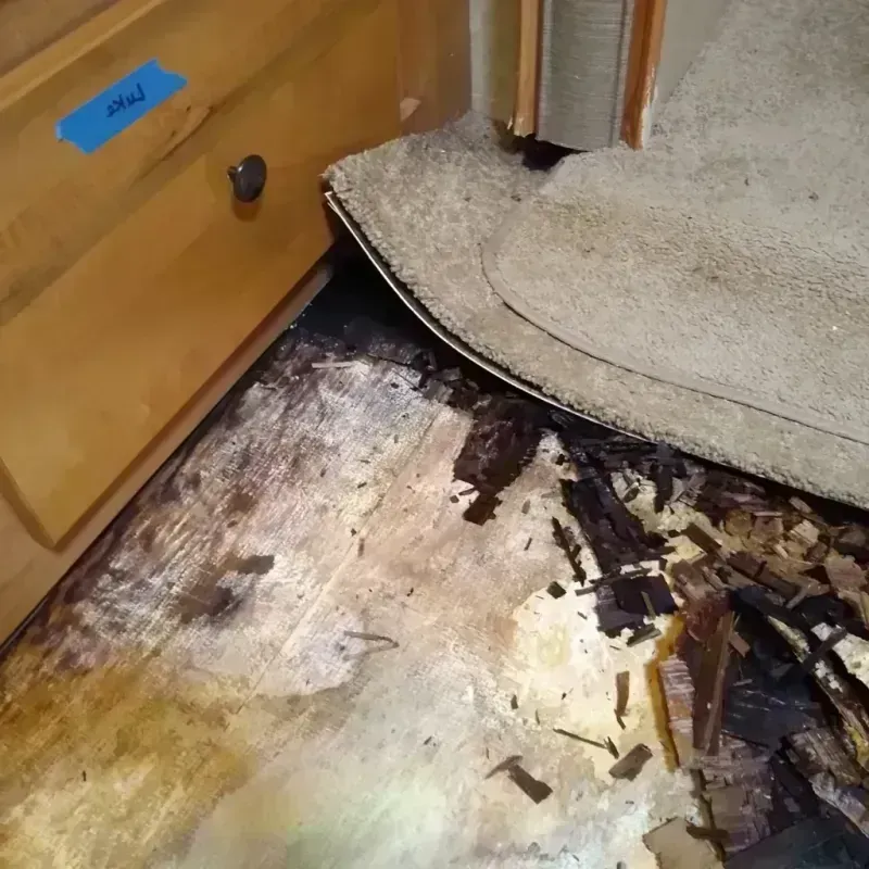 Best Wood Floor Water Damage Service in Lakehurst, NJ